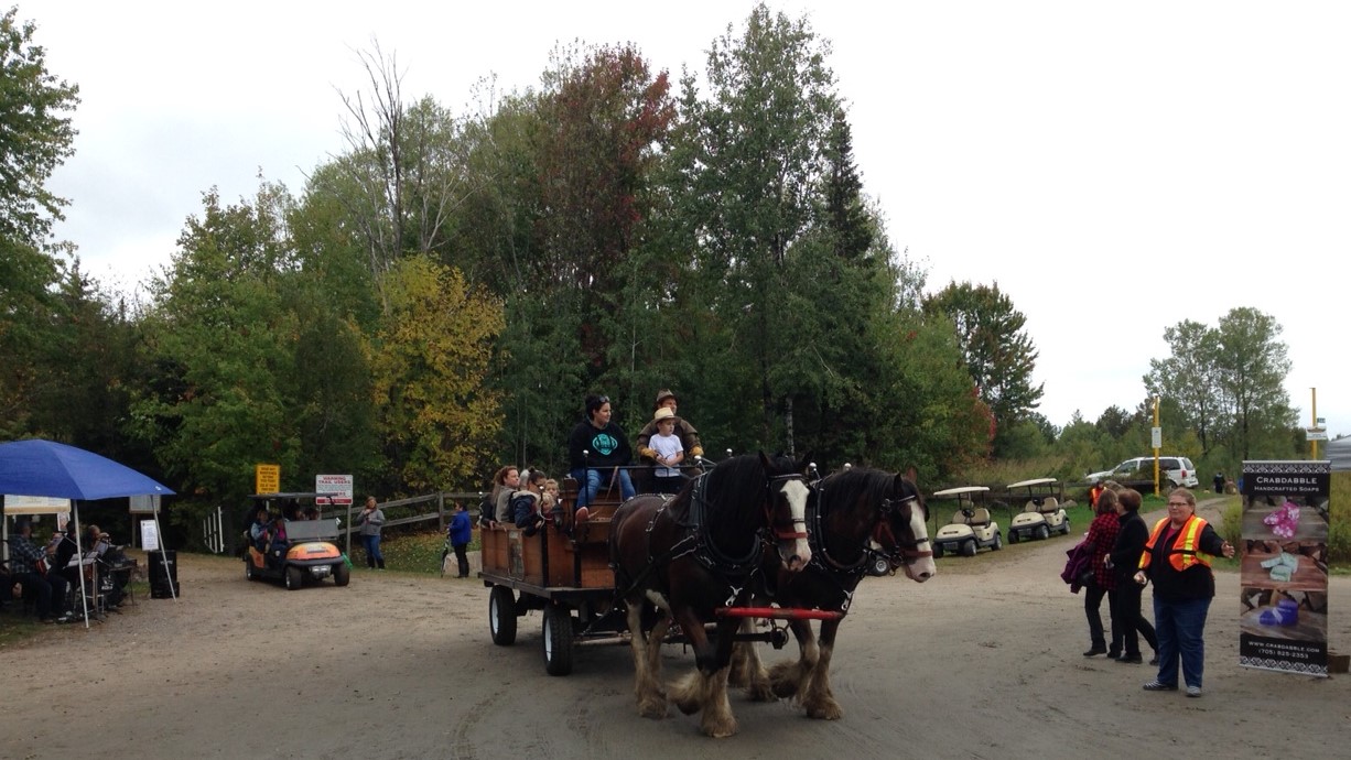 Village Clydesdales offered horse-wagon rides along the trail.